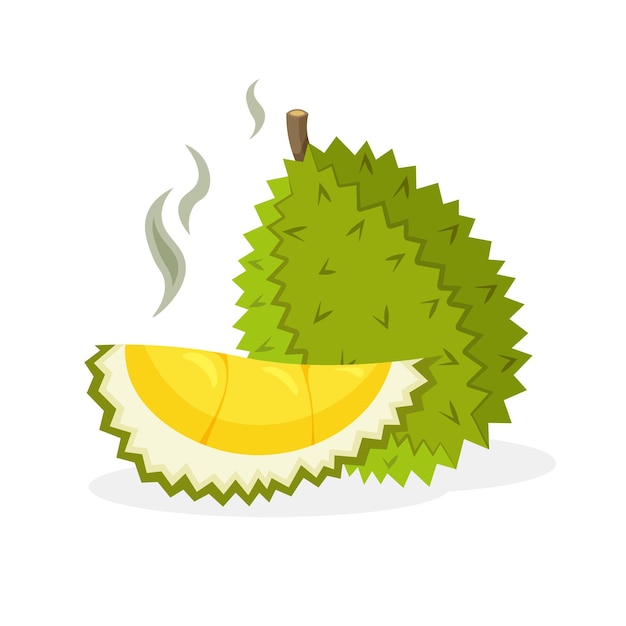 A fruta durian cheira mal. frutas inteiras e frutas ícones vetoriais de comida vegana em um estilo cartoon moderno