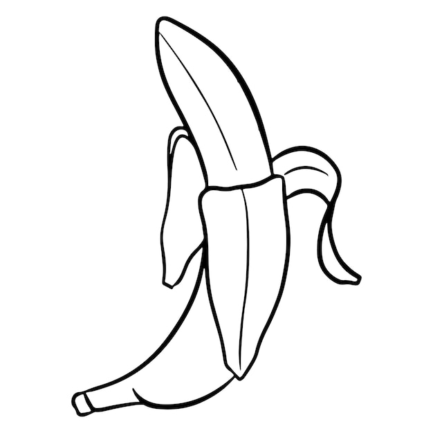 A fruta. uma banana aberta. uma fruta saudável. vitaminas nos alimentos. estilo de linha. ilustrações de desenho e decoração.