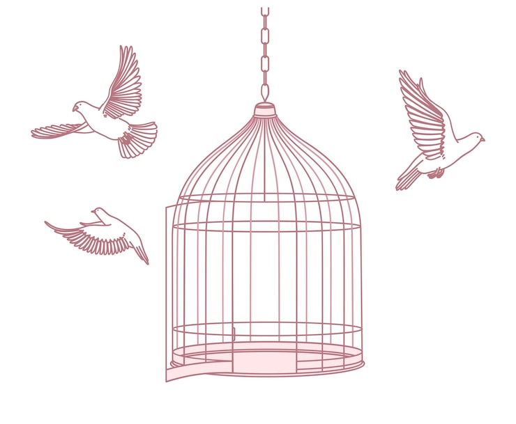 Vetor a gaiola de pássaros com pássaros escapando é um poderoso símbolo de liberdade e libertação emocional