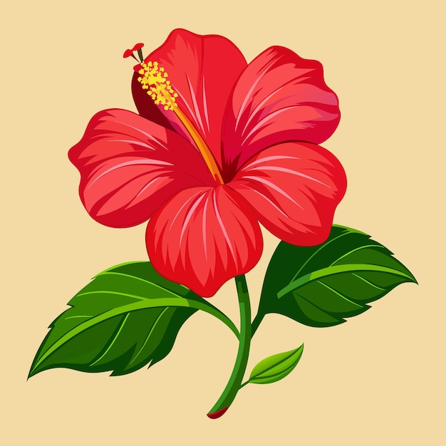 a hibiscus flower vector art illustration 18