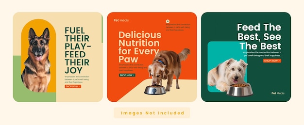 A loja de animais moderna publica na mídia social uma coleção de designs