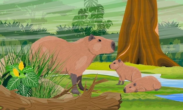 A mãe capivara e dois filhotes dela estão sentados perto do córrego na selva. roedores da américa do sul.