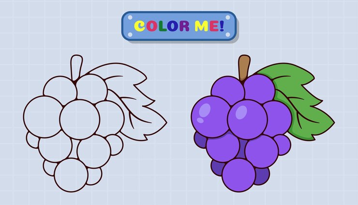 Vetor a página do livro de colorir de uva vem com esboços e amostras de cores para crianças e educação pré-escolar ilustração de estilo de desenho animado