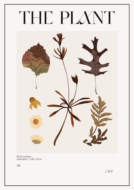 A planta. cartaz do mercado de flores de outono. herbário