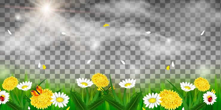 A primavera está chegando. Quadro abstrato com flores da primavera. fundo com flores da primavera, pétalas caindo e elementos transparentes turva