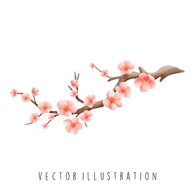 Vetor a sakura.