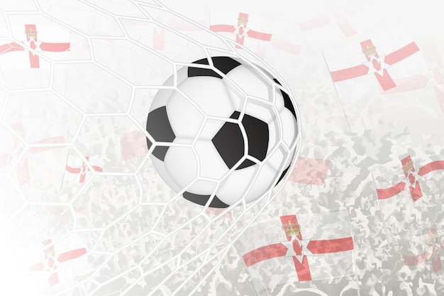 A seleção nacional de futebol da Irlanda do Norte marcou um gol