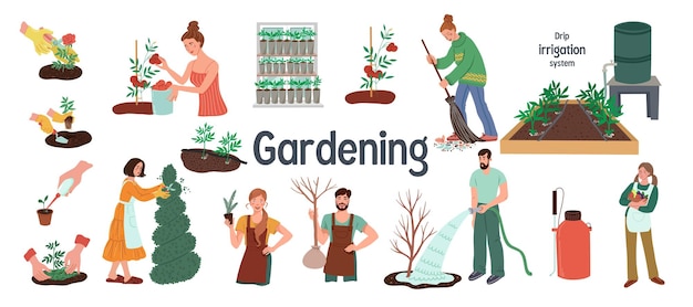 A set of illustrations about gardening