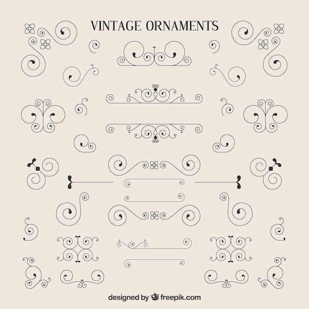 A variedade de ornamento do vintage