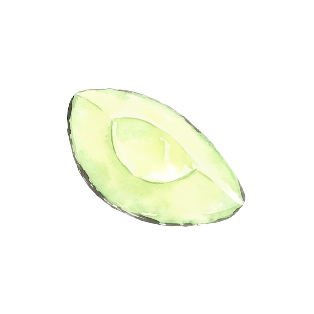 Abacate cortado ilustrado em aquarela