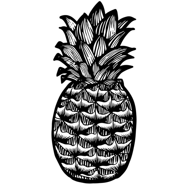 Vetor abacaxi ilustração desenhada à mão fruta tropical xilogravura desenho