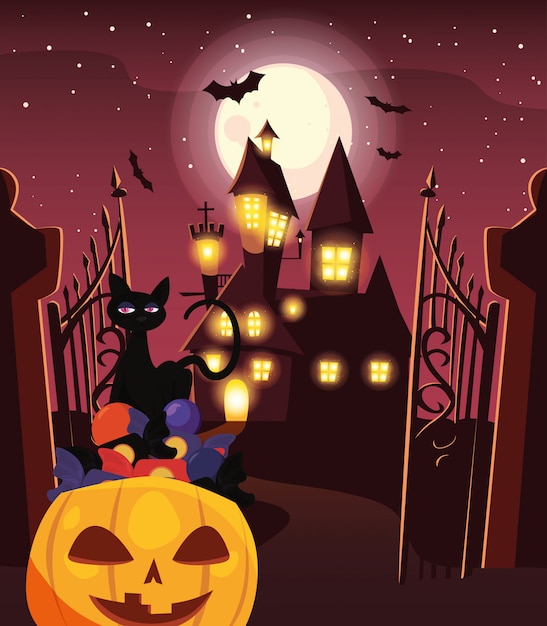 Abóbora com gato preto em cena de halloween
