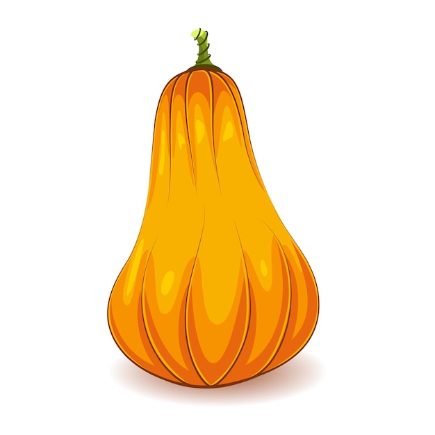 Abóbora laranja. vegetal. o principal símbolo do feriado é o halloween. ilustração vetorial isolada no fundo branco.