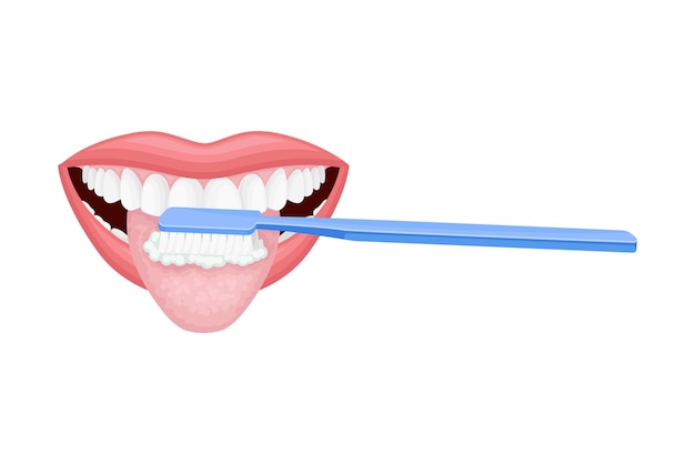 Vetor abra a boca com escova de dentes esfregar e limpar dentes ilustração vetorial
