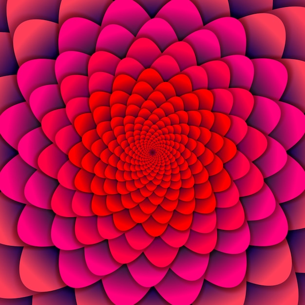 Abstrato. flor de espiral rosa. flor de lótus abstrata. símbolo de mandala esotérico.