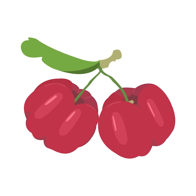 Acerola fruit vector design plano gráfico 2d hd