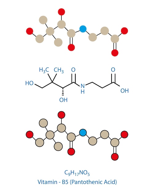 Vetor Ácido pantotênico vitamina b5 ilustração vetorial da fórmula química estrutural molecular