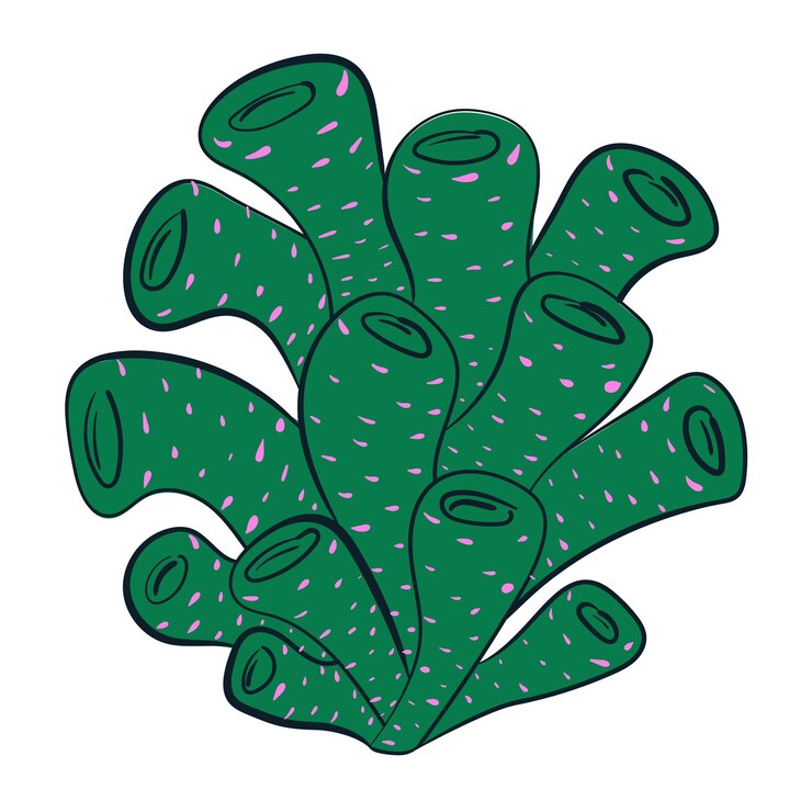 Vetor adesivo de doodle de coral elemento de design da flora subaquática do oceano ilustração vetorial isolada de desenho animado