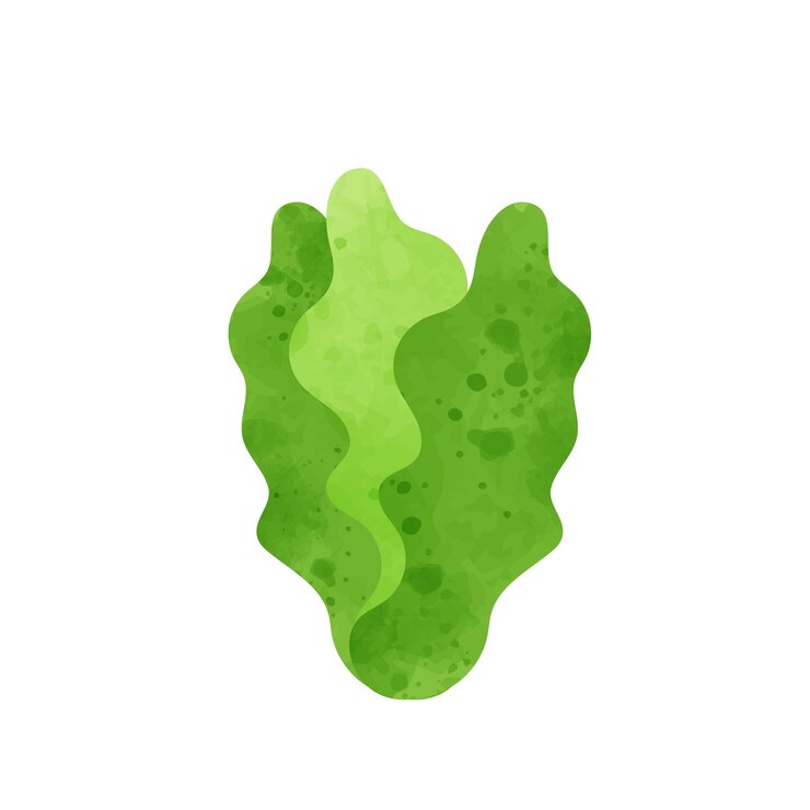 Vetor adesivo de repolho verde com personagem vegano