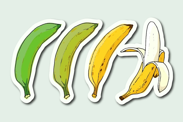 Adesivos de transformação de banana desenhados à mão