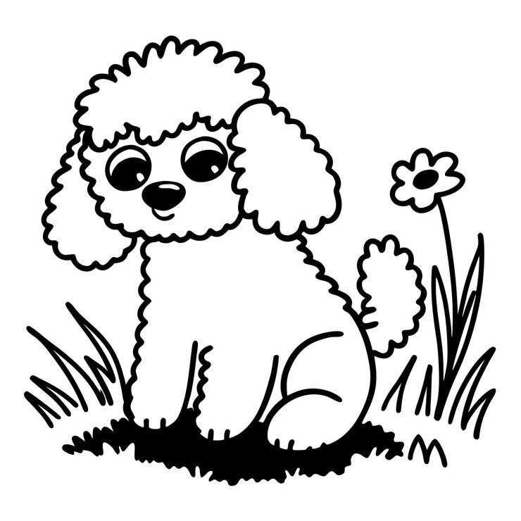 Vetor adorável cachorrinho poodle sentado em um jardim brincalhão animal de estimação ilustração de linha preta e branca