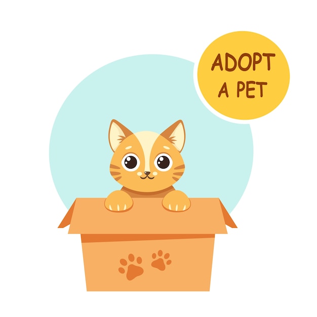 Adote um animal de estimação. Gatinho fofo na caixa. ilustração em estilo simples.
