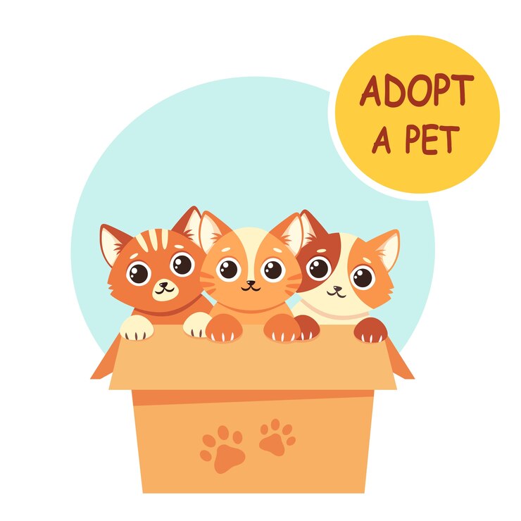 Vetor adote um animal de estimação. gatinhos fofos na caixa. ilustração em estilo simples.