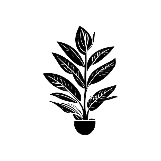 Vetor aglaonema icon desenho à mão de planta preta logotipo vetor elemento e símbolo