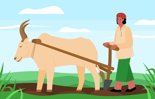 Agricultor indiano ara o campo com arado de boi puxado
