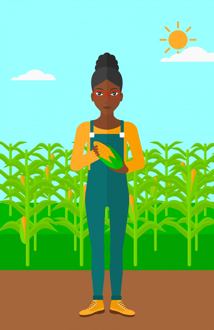 Vetor agricultor segurando o milho.