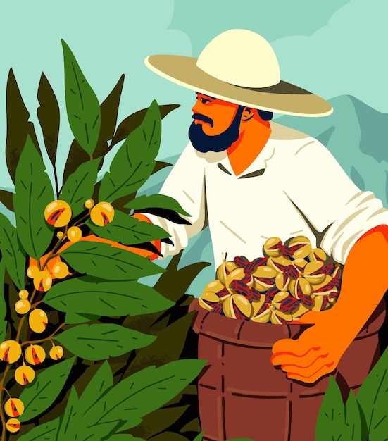 Agricultor Tropical Colheita