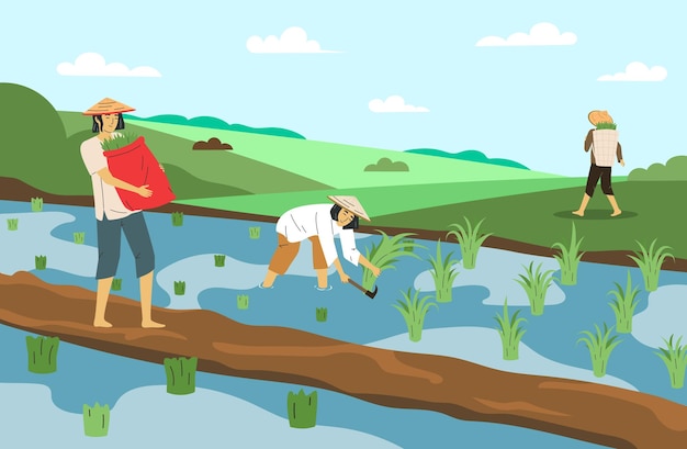 Agricultores asiáticos em chapéus cônicos trabalhando em ilustração vetorial plana de campo de arroz