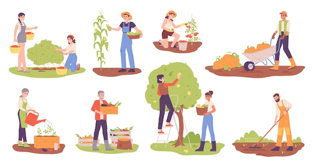 Agricultores coletando colheita Trabalhadores agrícolas cultivando ou colhendo bagas frutas legumes pessoas coletam produtos de jardim campo planta de solo trabalho berrante ilustração vetorial