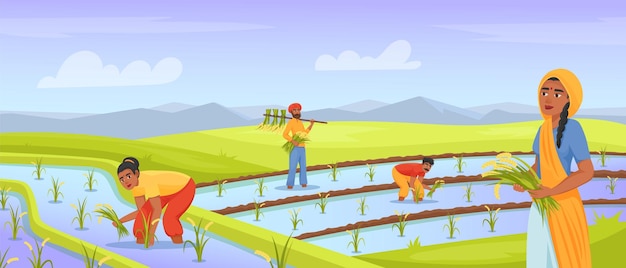 Agricultores indianos colhendo arroz Agricultor trabalhando no campo de terra agricultura rural agricultura na índia regando trabalhador asiático em prado plantado ilustração vetorial exata dos desenhos animados