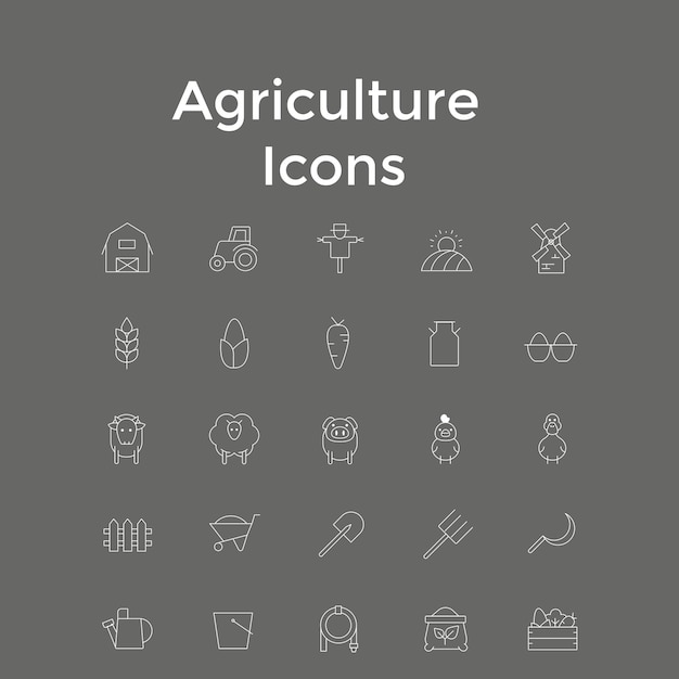 Agricultura Ícones Ferramentas agrícolas e símbolos agrícolas ecológicos