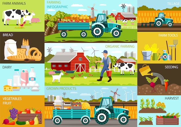 Agricultura orgânica infográfico e produtos cultivados.