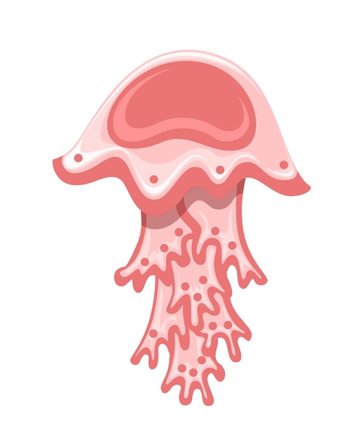 Água-viva vermelha do mar. organismo aquático animal subaquático tropical
