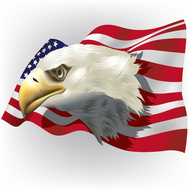 Vetor Águia, cabeça, sobre, ondulado, bandeira americana, ligado, sombreado