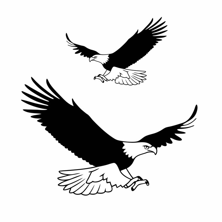 Vetor águia careca voadora desenho de ilustração de silhueta preta
