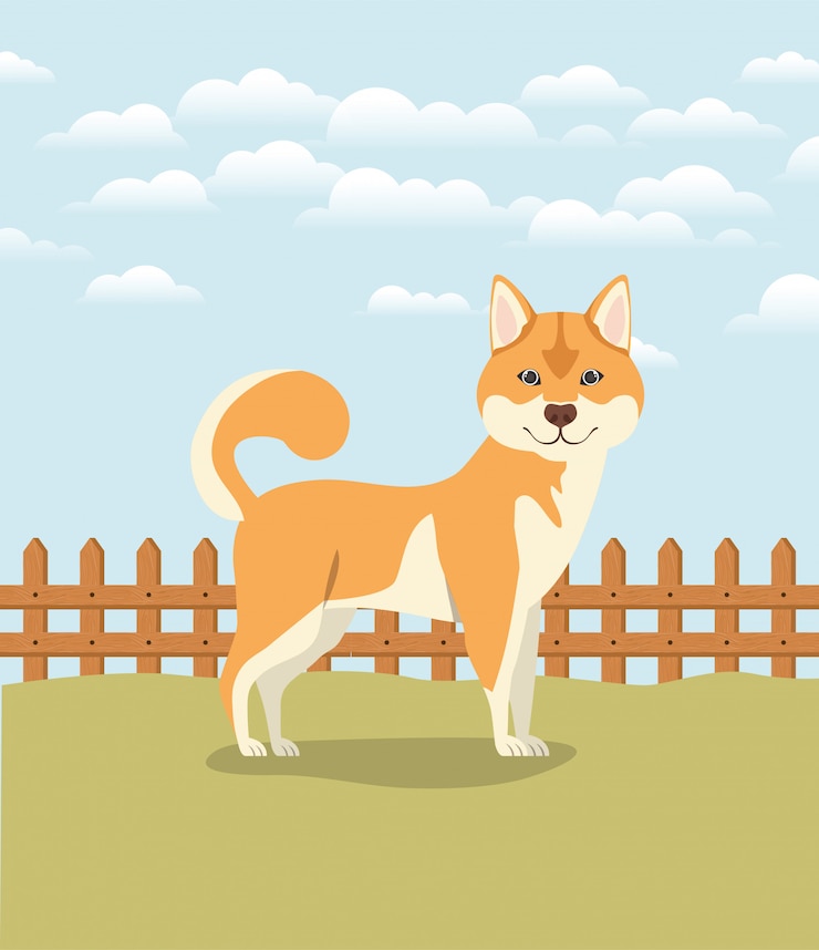 Vetor akita inu bonito cão animal de estimação no acampamento