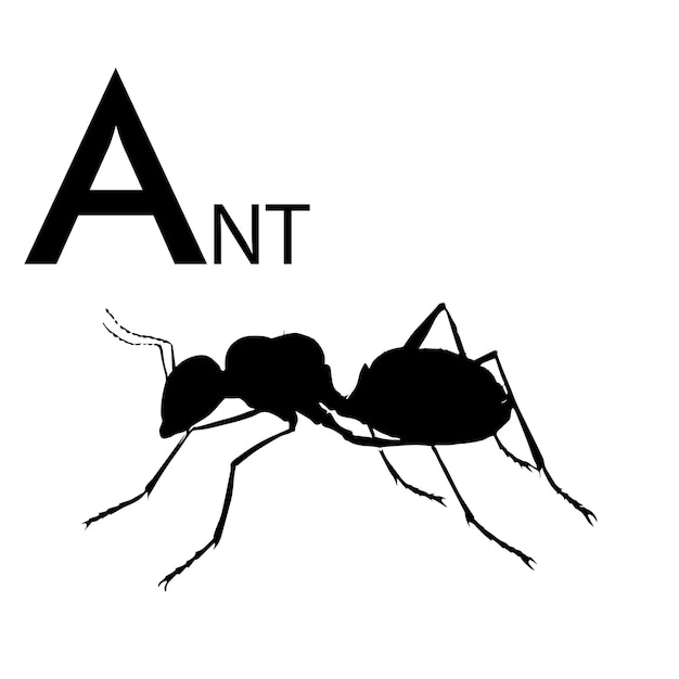 Alfabeto a com silhueta de exemplo de formiga