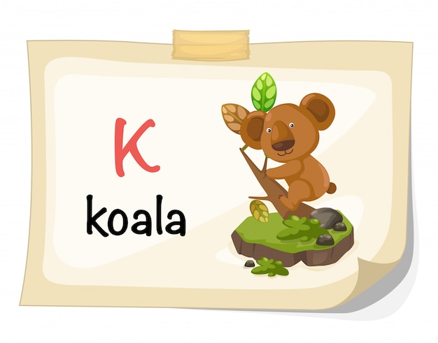 Alfabeto animal letra k para vetor de ilustração de coala