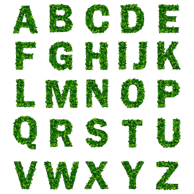 Alfabeto de folha verde com letras