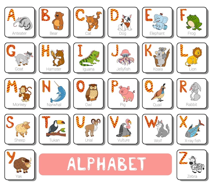 Vetor alfabeto de zoológico de cores com animais fofos em fundo branco. cartão quadrado com letras az