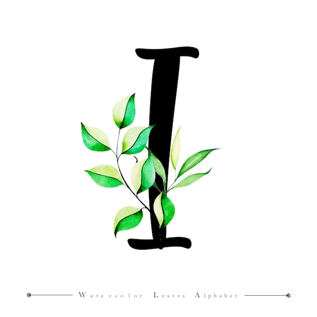 Alfabeto letra I com aquarela folhas de fundo