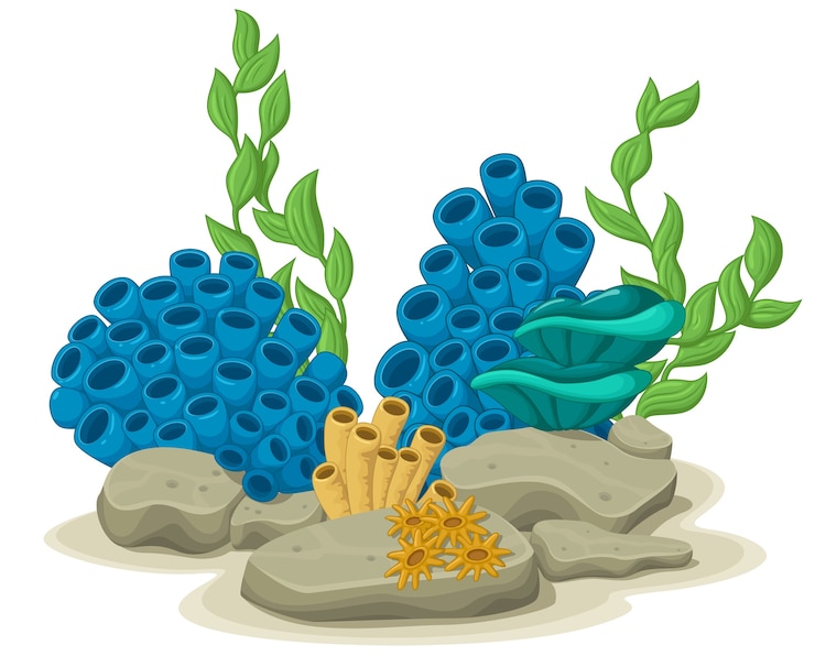 Vetor alga marinha