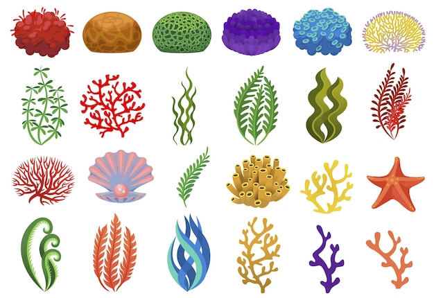 Algas e corais coloridos, flora subaquática, mar ou oceano. coral do mar subaquático vetorial para ilustração de aquário, recife aquático e algas