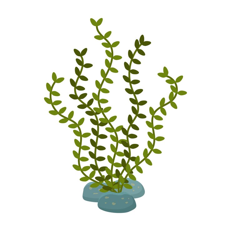 Algas verdes em um pedaço de areia ilustração de planta subaquática ideal para a vida marinha oceano ou aquário