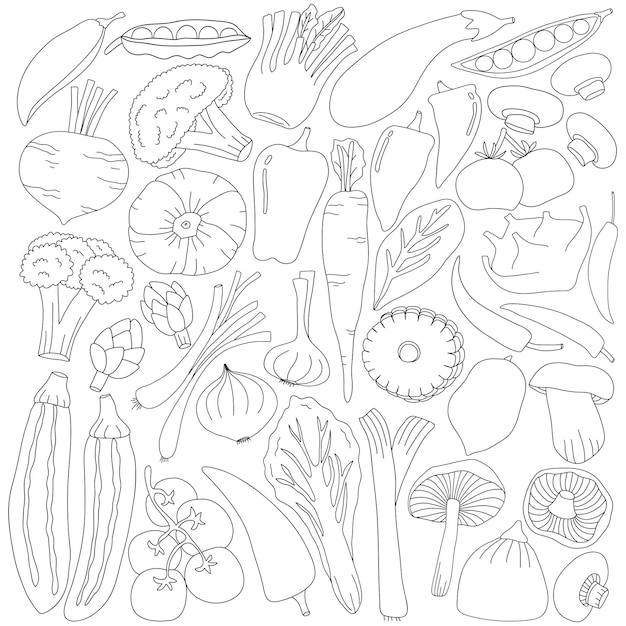 Alimentos vegetais orgânicos desenhados à mão em estilo de arte doodle em fundo branco