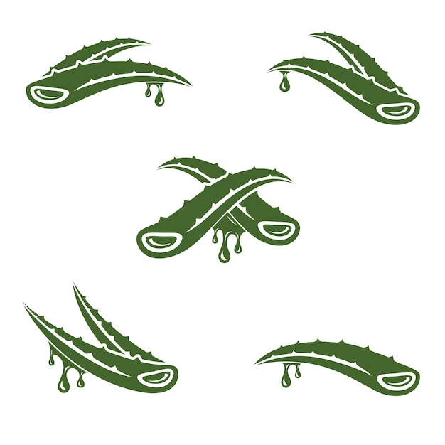 Aloe vera conjunto ícone de coleção aloe vera vector